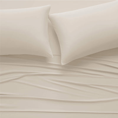 Snow Ivory