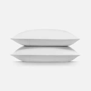Arctic White