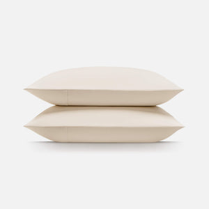 Snow Ivory