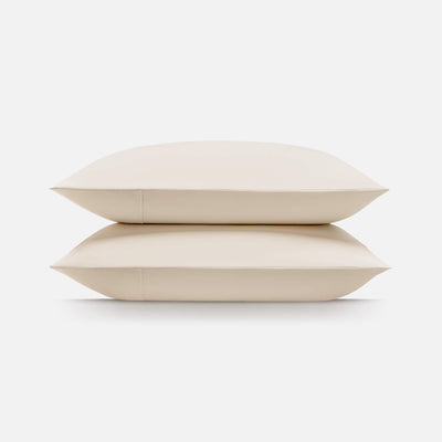 Snow Ivory